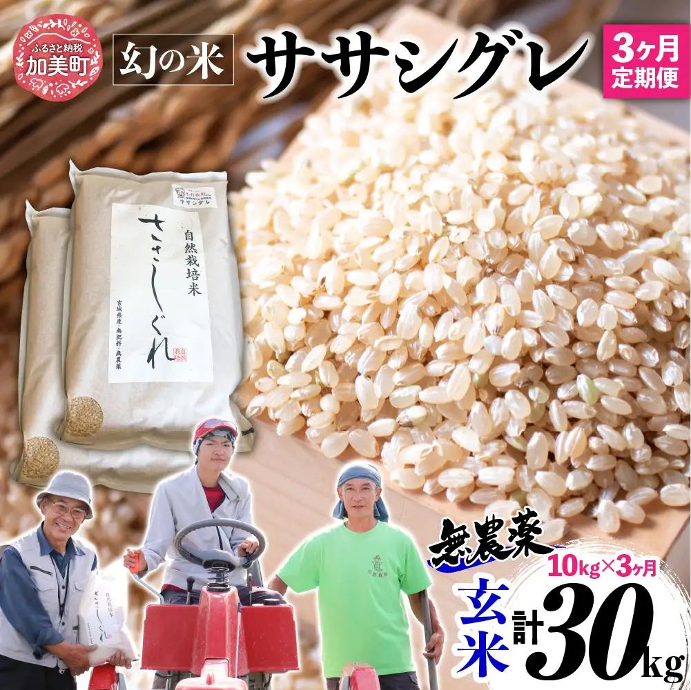 【新米予約】《 希少品種米 》 米 令和8年 宮城県産 ササシグレ ( 栽培期間中農薬・肥料不使用 ) 【 3回 定期便 】 玄米 10kg × 3ヶ月 （ 合計 30kg ） 無農薬 ｜nt-ss10-gn-t3-r8
