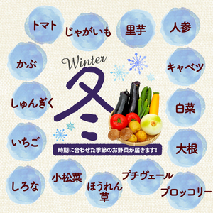 【厳選】 野菜セット 定期便 3回 野菜