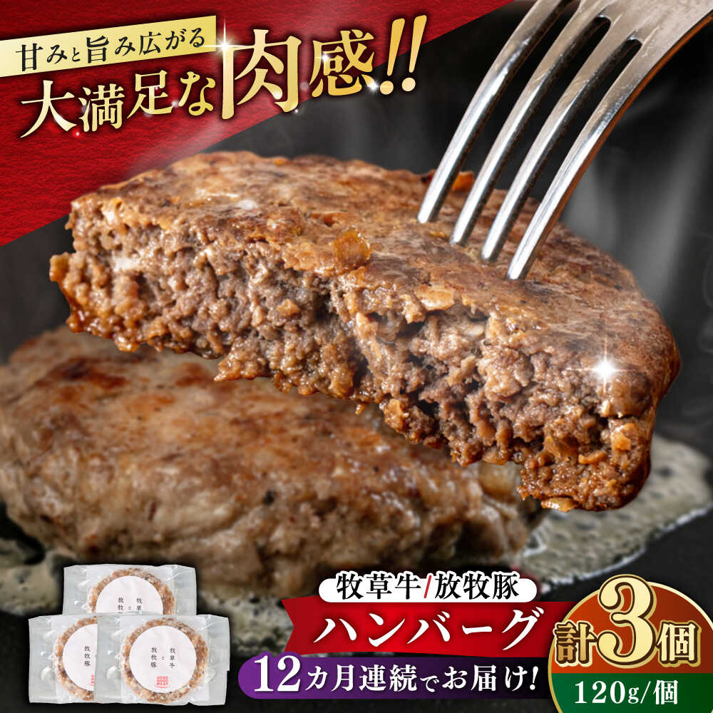 【ふるさと納税】【全12回定期便】　【牧草牛×放牧豚】ハンバーグ 3個 《厚真町》【GOODGOOD株式会社】 ハンバーグ 牛肉 豚肉 小分け 冷凍配送 北海道[AXBP025]