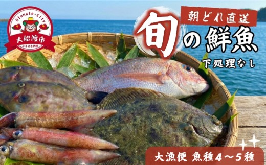 【下処理なし】 朝獲れ 鮮魚 ボックス 大漁便 魚種 4～5種 三陸 朝獲れ直送 冷蔵 魚種お任せ 水揚げ 海鮮 魚介 産地直送 新鮮 天然 魚 詰め合わせ 鮮魚便 鮮魚セット 三陸産 国産 海鮮 旬 岩手県 大船渡市 2万円 20000円