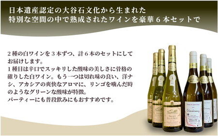 大谷の天然地下蔵で深みを増すワイン 白 6本セット【 白ワイン 飲み比べ ギフト 栃木県 宇都宮市 】※配送不可地域：離島