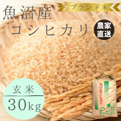 ふるさと納税 魚沼市 【令和8年産】ブランド米　魚沼産コシヒカリ　玄米　30kg　おいしいお米