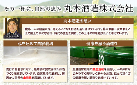 酒 清酒 熱燗 冷酒 賀茂緑 上撰パック 清酒 2000ml × 6本《90日以内に出荷予定(土日祝除く)》丸本酒造株式会社 岡山県 浅口市 熱燗 冷酒 酒 送料無料