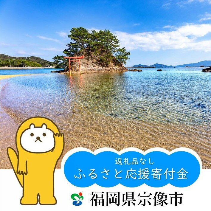 【ふるさと納税】【返礼品なし】宗像市ふるさと応援寄附 福岡県 宗像市 応援 寄附のみ 支援 寄付