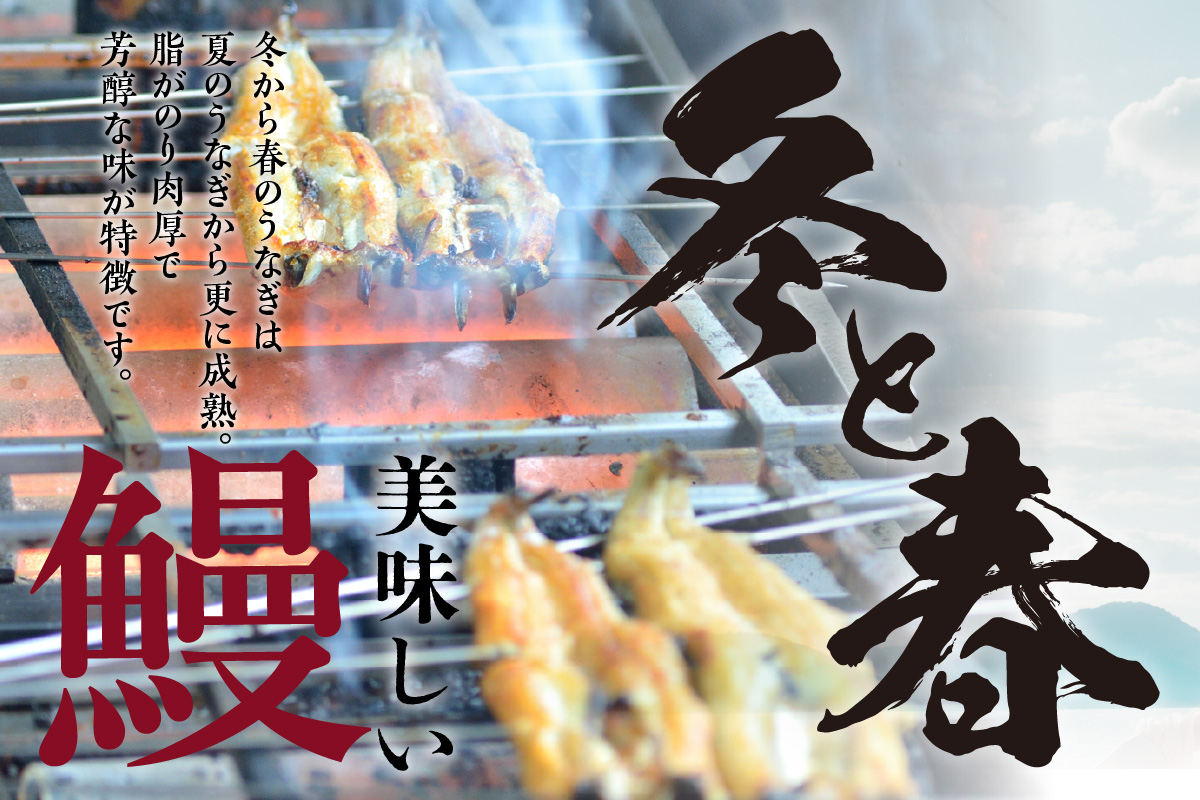 三河高浜産三代目養鰻家の白焼きうなぎ 特大4尾（700ｇ以上）