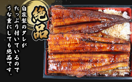 【 うなぎの蒲焼き 】 うなぎの蒲焼き 170g～180g×2 河野鮮魚店 D025-177003