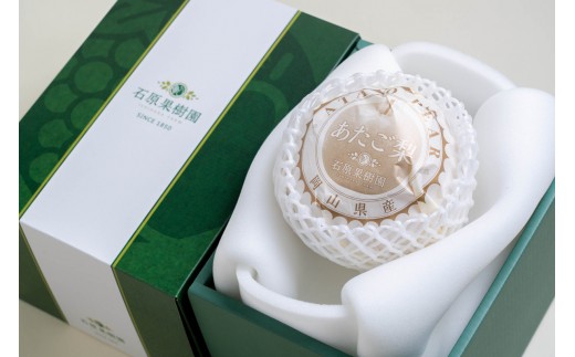 
                  梨 2026年  あたご梨 1玉（約1.2kg） 贈答箱赤秀【ナシ なし 岡山県産 国産 フルーツ 果物 ギフト 石原果樹園】
                