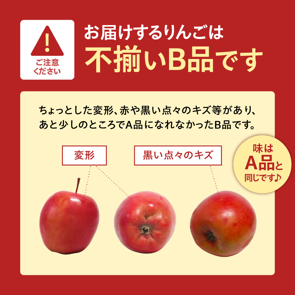 【ANA限定】中まで赤～いりんご<栄紅>【2026年12月中旬発送】 葉とらずりんご 訳あり 約2.5kg 不揃い B品 家庭用 青森県 五所川原市 りんご リンゴ