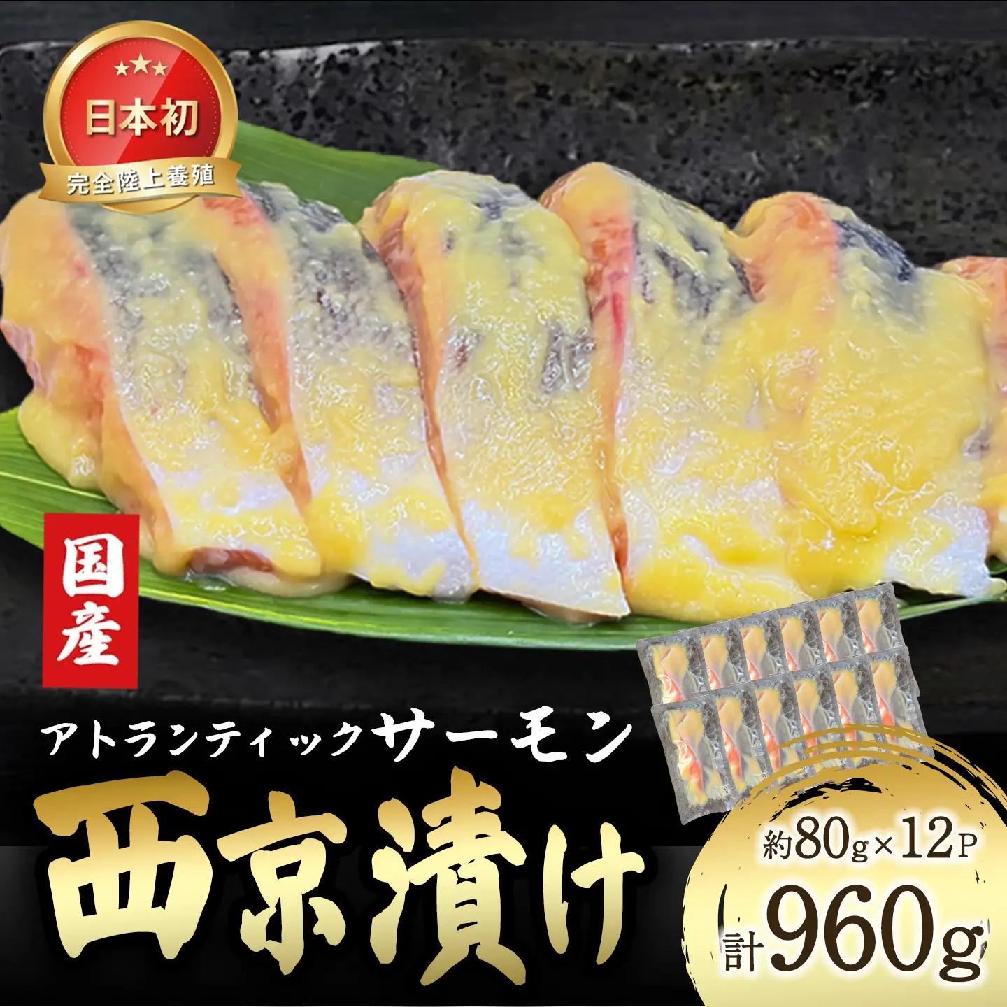 西京漬け 12P 国産サーモン西京漬け