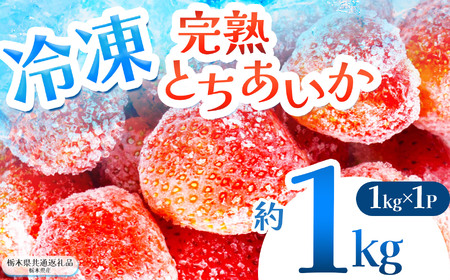 【栃木県共通返礼品】完熟冷凍とちあいか 約1kg | いちご とちあいか 冷凍 冷凍イチゴ スイーツ ジャム スムージー たっぷり 大粒 甘い 美味しい 果物 デザート 栃木県 那珂川町 送料無料
