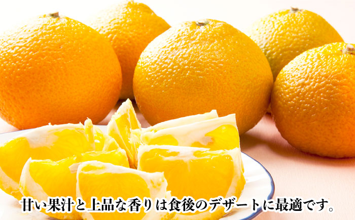【数量限定】甘くてジューシーな果実 スィートスプリング 約9kg【長崎ぶんたんの会 】[OAF007] /  ミカン 柑橘 果物  フルーツ カンキツ かんきつ 柑橘 柑橘類 スイートスプリング みか