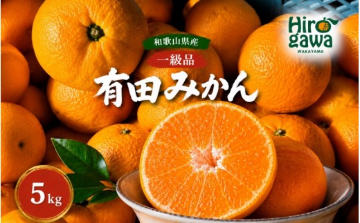 有田みかん 5kg【hkt004-p-5】