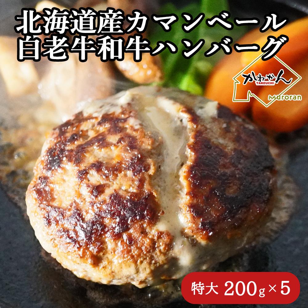 道産和牛カマンベールチーズハンバーグ（200g）5個入り MROA049