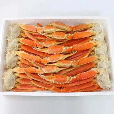 ふるさと納税 阪南市 【2026年8月22日より順次発送】ボイルずわい蟹 4Lサイズ 3.0kg【BBQにおすすめ】