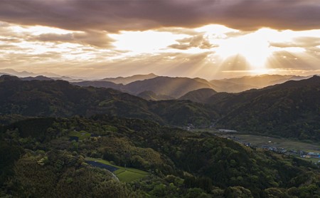 紅茶 100g × 3袋 国産 お茶 飲料 茶葉 和紅茶 ティー ホット アイス リラックス 栽培期間中 農薬 化学肥料 不使用 チャック付き 袋  静岡県 藤枝市
