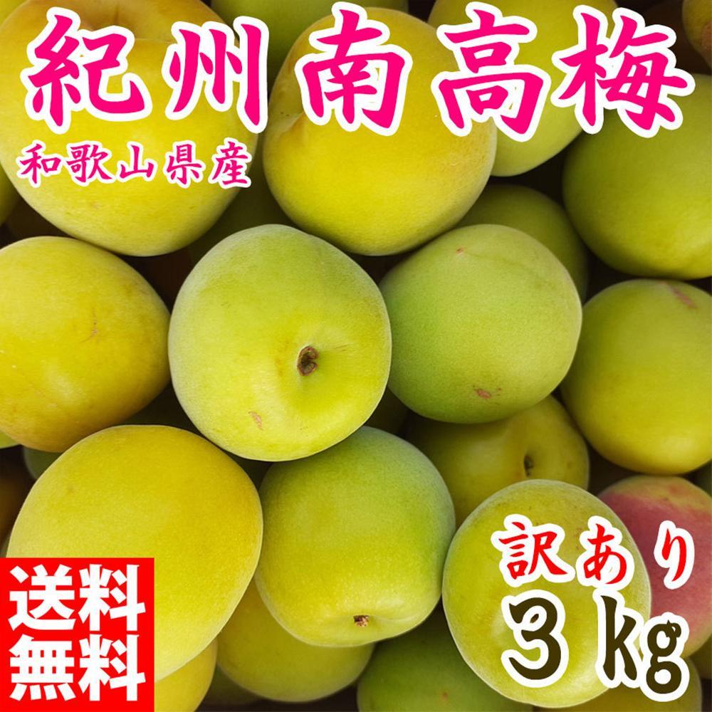 青梅 約3kg 訳あり 紀州南高梅 シロップ・梅酒・梅干し用など 和歌山県有田産 2025年5月下旬～7月上旬発送予定   CE060