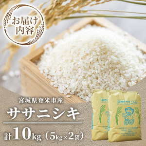 ≪令和7年産≫ 登米市産 ササニシキ 10kg (5kg×2袋) お米 おこめ 米 コメ 白米 ご飯 ごはん おにぎり お弁当【有限会社PFTサービス】tm092