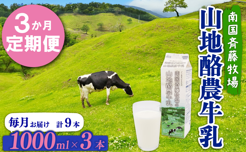 【3か月定期便】山地酪農牛乳1L×3本【バターができる 低温殺菌 生乳100％ 成分無調整牛乳 ノンホモジナイズ製法 お菓子作り ぎゅうにゅう ミルク 南国斉藤牧場 高知県 南国市】