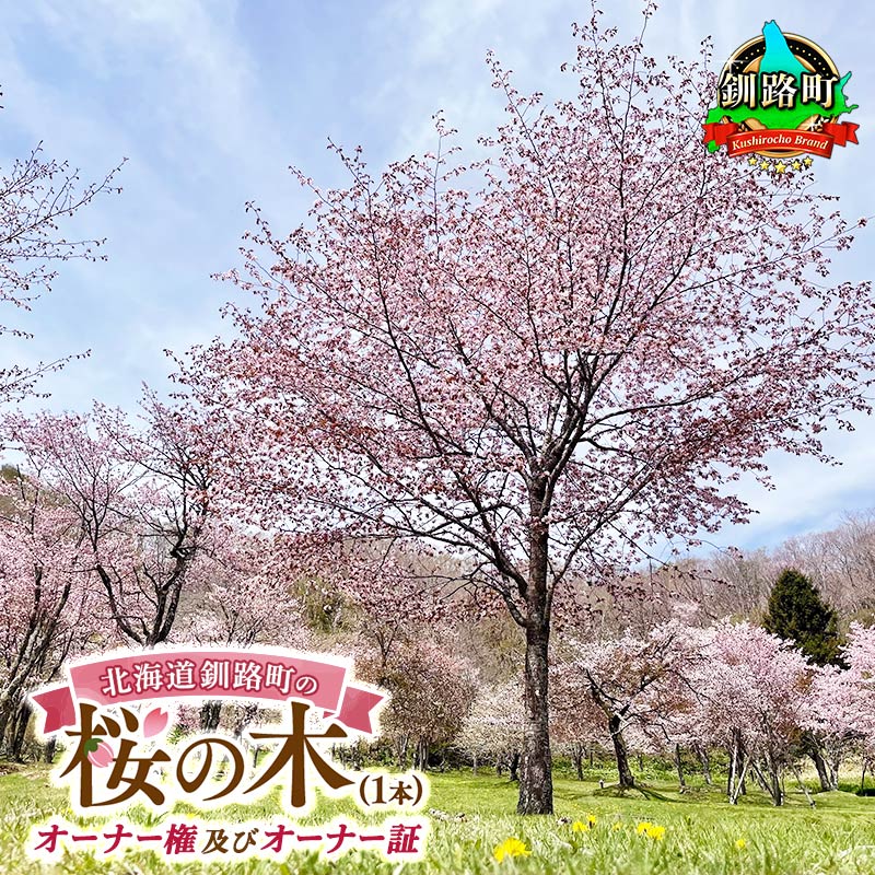 【ふるさと納税】北海道釧路町の桜の木(1本)のオーナー権及びオーナー証＜植樹開催＆プレートお届け時期：2026年5月ごろ＞【 北海道 釧路町 別保公園 桜 祭り 自然環境 自然 保護 ひがし北海道 さくら 】 釧路町 釧路超 特産品