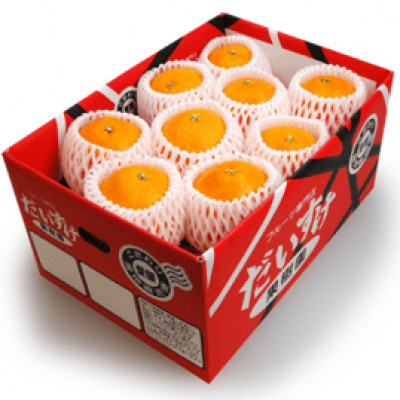 
            プルプルの果肉ととろける美味しさ!愛媛県八幡浜産媛まどんな5kg＜贈答用＞＜G35-12＞【1492216】
          