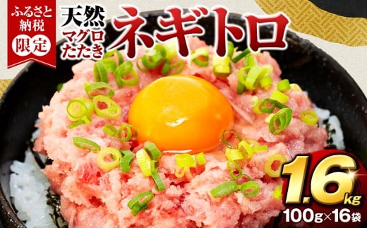 【クラファン支援対象返礼品！】【2025年11月発送】 ネギトロ まぐろ 約1,6kg 16袋 100g × 16パック 小分けパック ねぎとろ 鮪 たたき 魚 魚介 新鮮 天然 目鉢 キハダ マグロ 冷凍 すきみ 鮪のタタキ 寿司 すし 手巻き寿司 人気 おすすめ 訳あり 送料無料 静岡県 藤枝