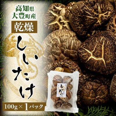 【ふるさと納税】高知県大豊町産　乾燥しいたけ　100g×1パック【1333391】