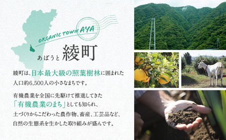 【返礼品なしの寄附】宮崎県綾町 寄附のみの応援受付 20,000円 応援寄附 寄付