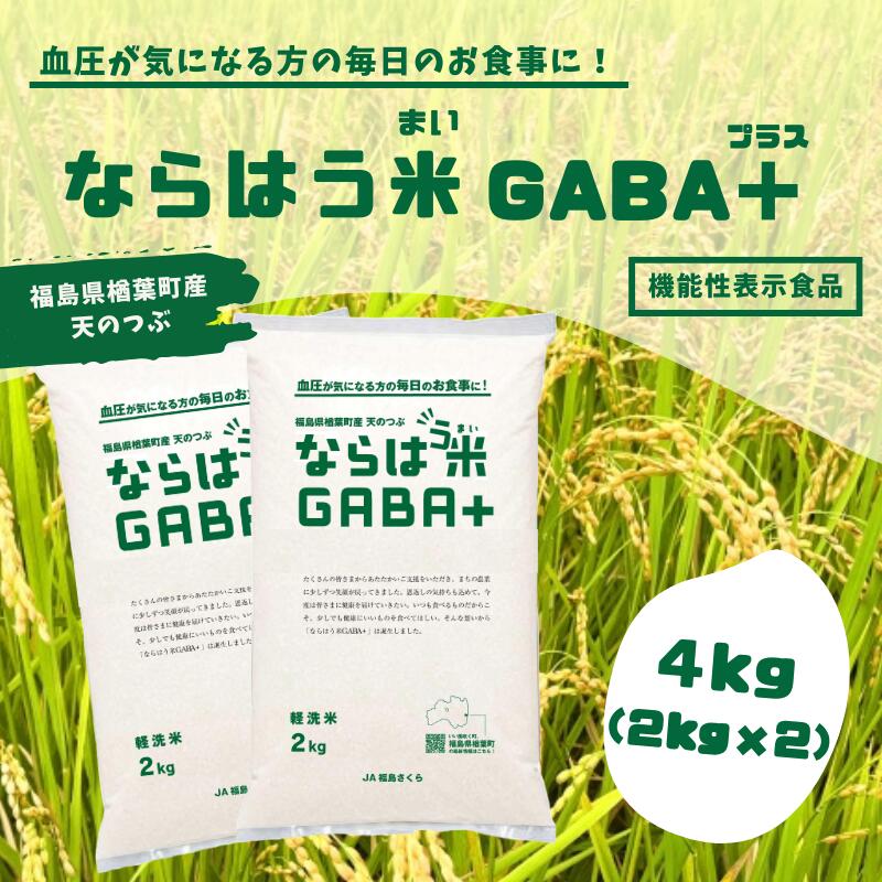 【ふるさと納税】ならはう米GABA＋ 4kg　楢葉町産天のつぶ 【GABA米 米 福島 天のつぶ 白米 うるち米 玄米 栄養 天のつぶ 楢葉町 福島県産 健康米 機能性 軽洗米 アミノ酸 血圧低下 睡眠 美味しい ダイエット米 ふるさと納税 白米ブレンド 国産米 贈り物 ごはん ご当地】