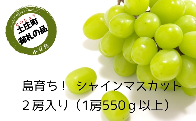 【 小豆島 】島育ち！ハウスシャインマスカット　2房入り 約1.1kg 果物類 ぶどう フルーツ 果物 