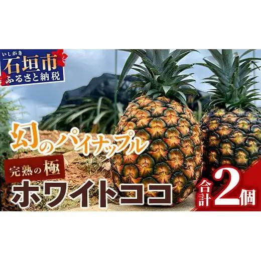  【ふるなびWEEK対象】[先行予約] 最高糖度20度！？ 完熟の極 石垣島産幻のパイナップル ホワイトココ2個セット