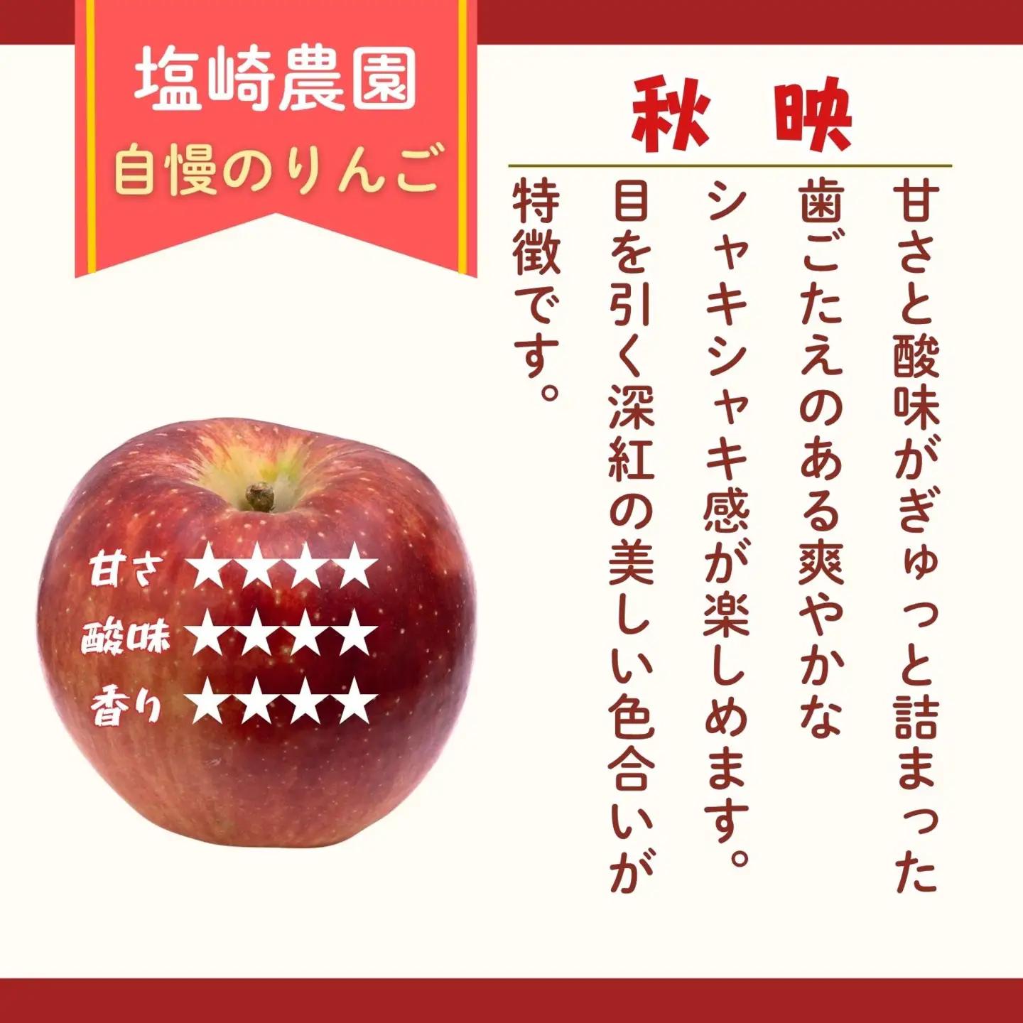 【秋映】りんご 約5kg（11～20玉）2026年10月上旬より発送_先行予約 | リンゴ At-009