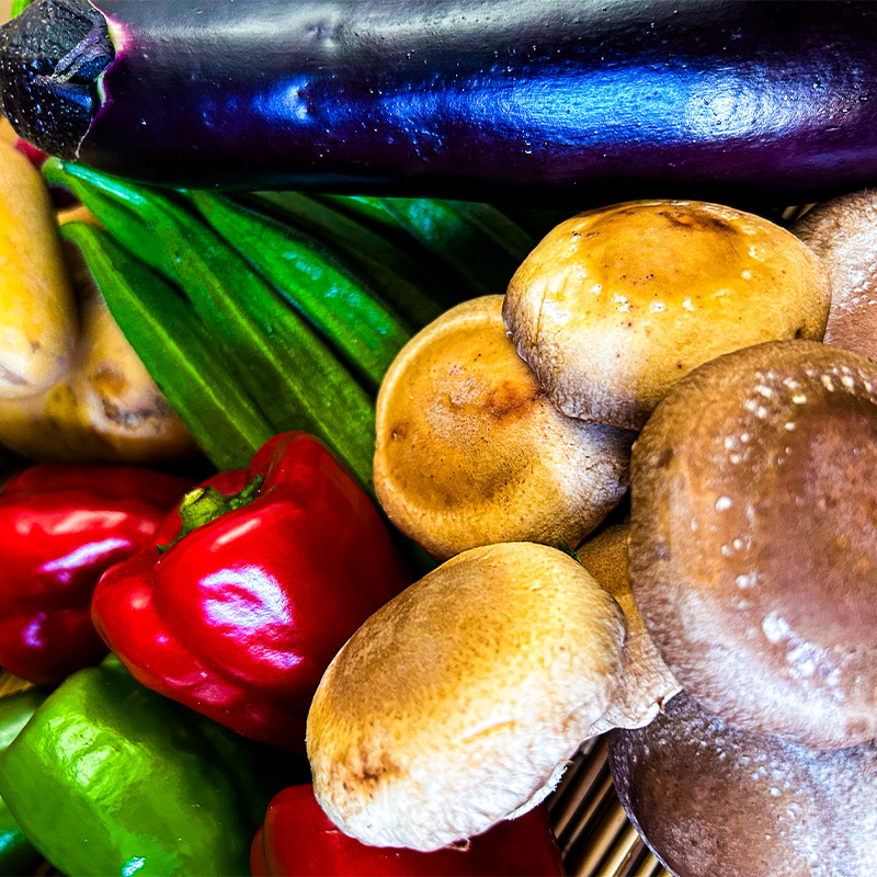 【12回定期便】こだわりの新鮮野菜セット 8~11品目 | 野菜セット 新鮮 野菜 人気 季節の野菜 おすすめ 高知県 南国市