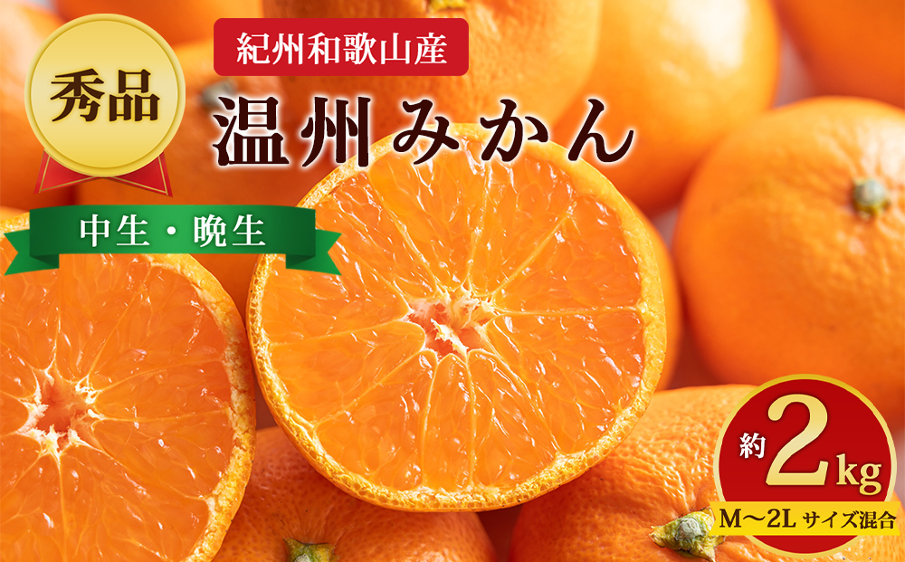【先行予約】【秀品】紀州和歌山産 温州みかん 約2kg（箱込み） M～2L サイズ混合（中生・晩生）