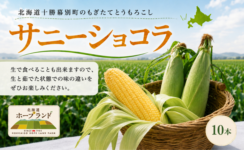 ［先行予約/2026年］もぎたてとうもろこし黄10本 [北海道ホ