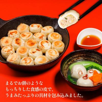 ふるさと納税 松山市 あさの生餃子 もち〇生餃子 セット【5パック 計125個】 |  | 01