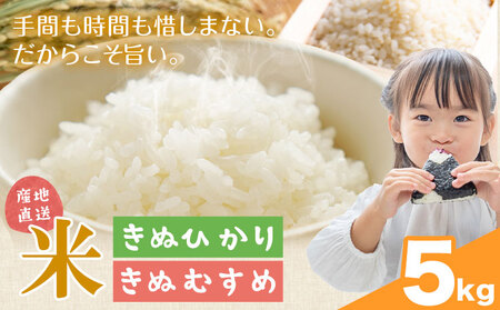 米 こめ きぬひかり きぬむすめ 5kg 東菜穀農園 《9月下旬-3月末頃出荷》 米米米