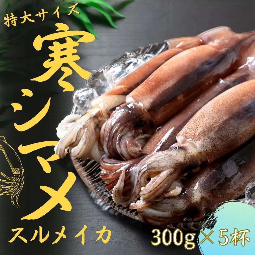 スルメイカ 300g×5杯 イカ