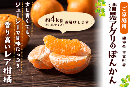 『清晃アグリ』のご家庭用ポンカン 約4kg(M-3Lサイズ)《12月中旬-1月中旬頃出荷》予約受付中 フルーツ 秋 旬 少し青くても甘くてジューシー♪熊本県玉名郡玉東町