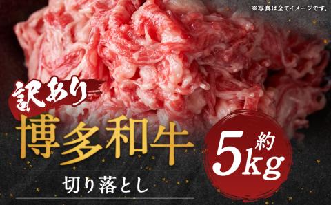 【訳あり】博多和牛切り落とし 約5kg(約500g×10パック)