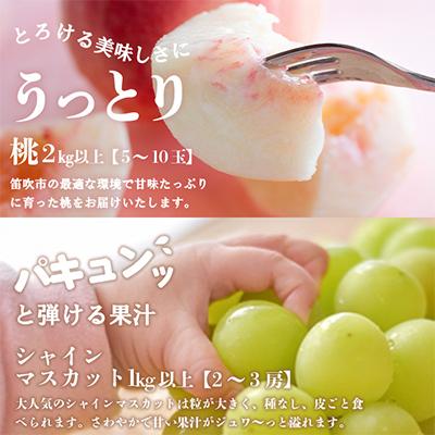 ふるさと納税 笛吹市 【発送月固定定期便】山梨の美味しい果物 桃・シャインマスカット全2回 |  | 02