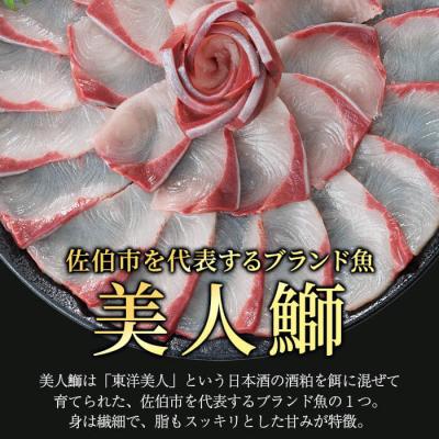 ふるさと納税 佐伯市 大分県産 美人鰤 フィレ (2枚・計3kg以上) |  | 02