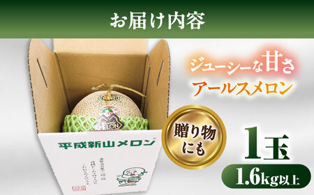 【2026年7月下旬-発送】【平成新山メロンPREMIUM（とみちゃん厳選）】アールスメロン 1玉 / メロン めろん 青肉 糖度 果物 くだもの フルーツ ふるーつ 旬 高級 ギフト / 南島原市 