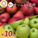 【ふるさと納税】訳あり 不揃い りんご 10kg サンふじ 王林 2種 セット 青森 五所川原 | スマートフレッシュTM貯蔵またはCA貯蔵 青森 津軽 五所川原 林檎 リンゴ 人気 果物 くだもの フルーツ 送料無料 お取り寄せグルメ【発送時期が選べる】