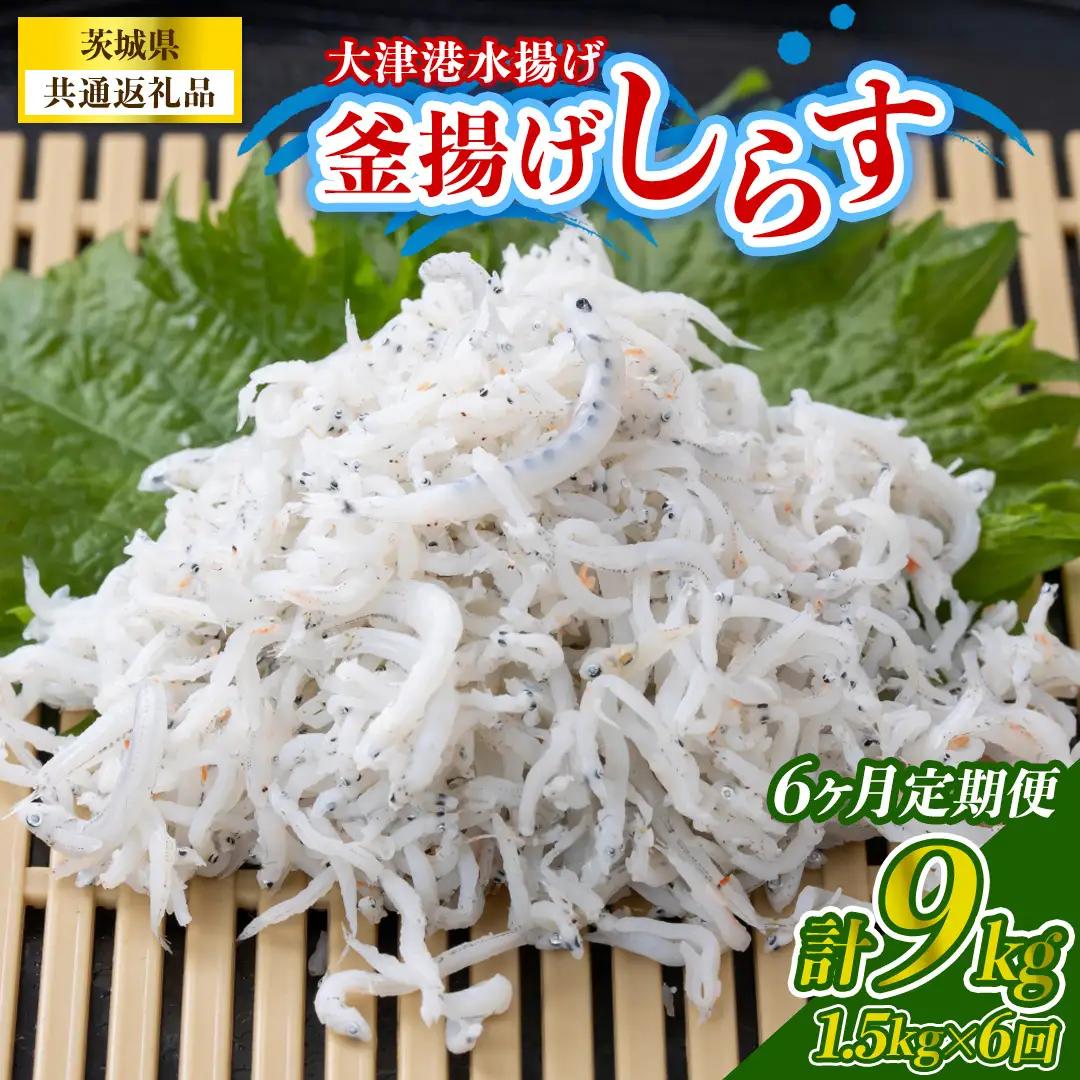 【6回定期便】大津港水揚げの釜揚げしらす 1.5kg(250g×2パック×3箱) (茨城県共通返礼品:北茨城市) (BC027)