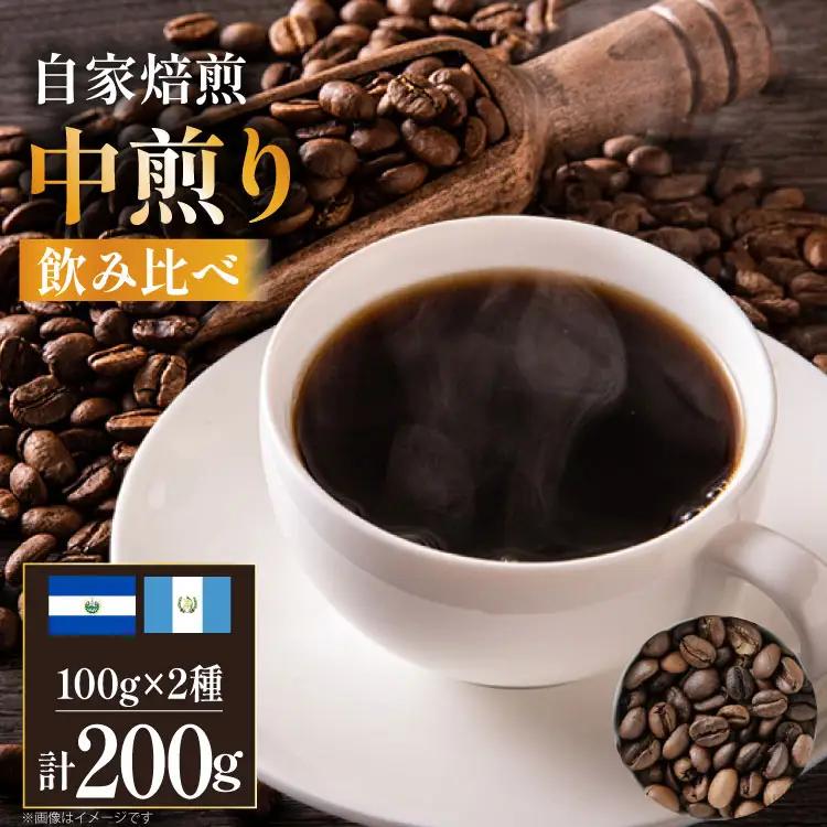 コーヒー豆 自家焙煎 中煎り 100g 2種 計200g  (生豆時) 飲み比べ セット シングルオリジン