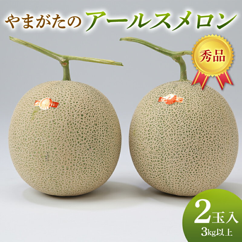 【ふるさと納税】 【先行予約R8年9月発送開始】 やまがたのアールスメロン 秀品 3kg 2玉入 FSY-2622