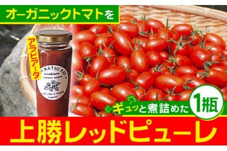 上勝レッド ピューレ アラビアータ 1瓶 200ml NARUMIFARM 《30日以内に出荷予定(土日祝除く)》ピューレ トマトピューレ とまと トマト 野菜 やさい オーガニック お肉 お魚 パスタ パスタソース ペンネ ピザ 徳島県 上勝町 送料無料