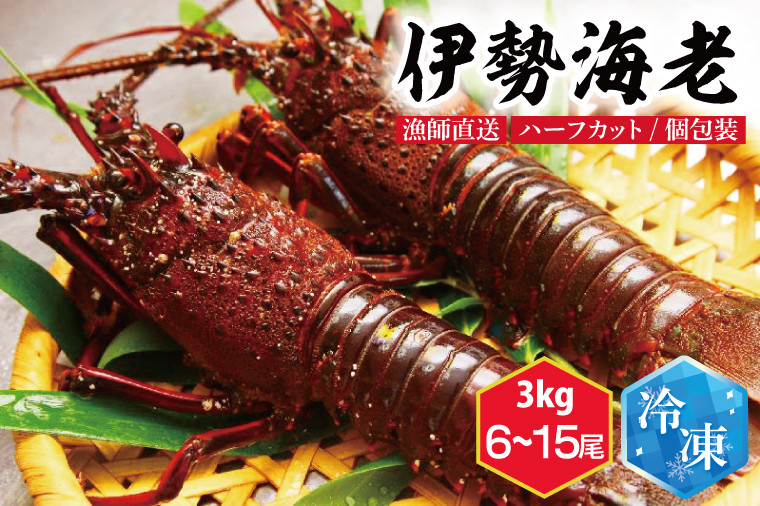 
                  【漁師直送／活〆冷凍】伊勢海老（3kg／6~15本）（KBL-20)
                