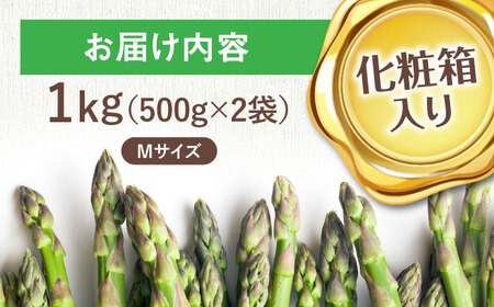 【先行予約】朝どりアスパラ Mサイズ1kg 《喜茂別町》【ニセコビュープラザ直売会協同組合】アスパラ アスパラガス [AJAH016] 