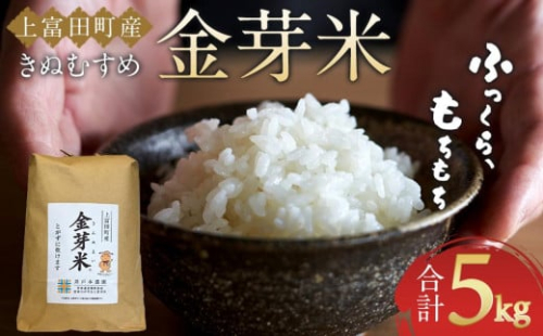 令和7年産  上富田町産 金芽米 きぬむすめ 5kg 井戸本農園